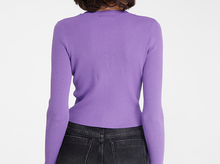 Load image into Gallery viewer, Goa Goa Prince Purple Ribbed Sweater
